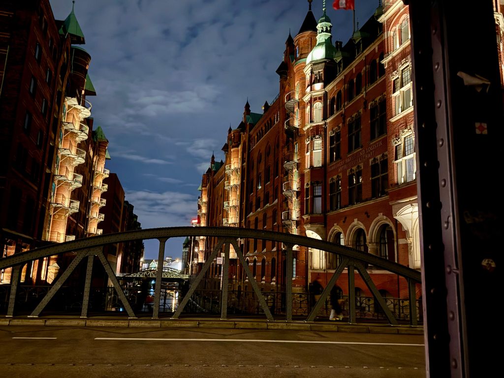 Weihnachtsmarkt Hamburg 9